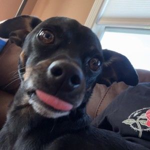 Meet your Posher, Nick